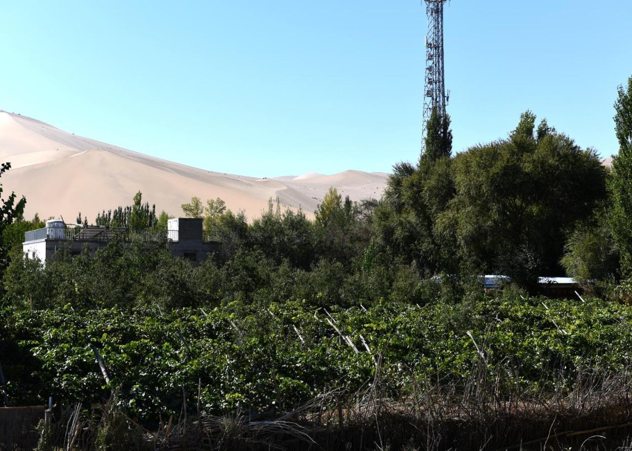 Dunhuang 8090 Guest House 外观 照片